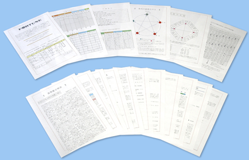 �N���b�N����ƑS�y�[�W�̓��e�������ɂȂ�܂��B�����܂ŏڂ����l�������`���[�g�́A���̉��i�ł͒ʏ�o�܂���B